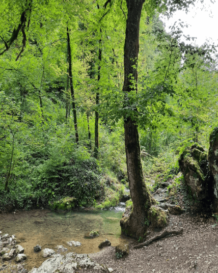 Capture d'écran 2025-11-03 235436