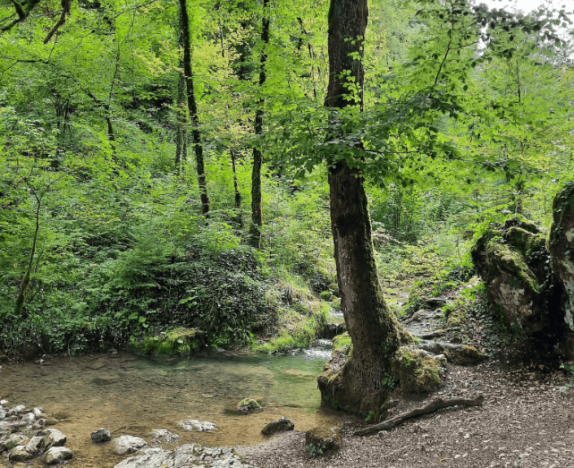 Capture d'écran 2025-11-03 235503