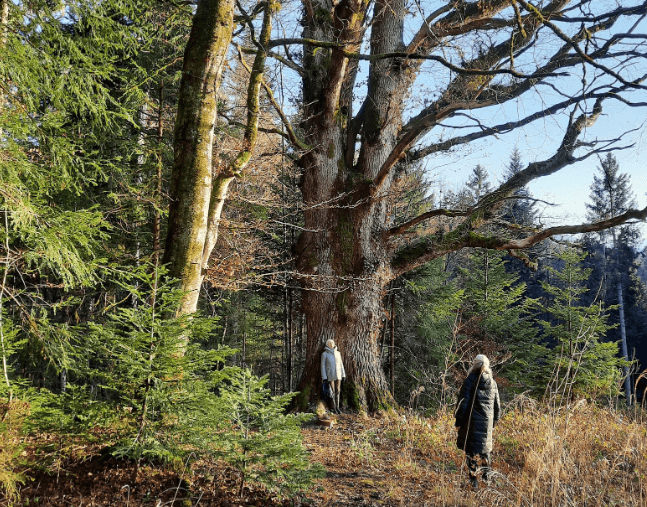 Capture d'écran 2025-11-04 000625